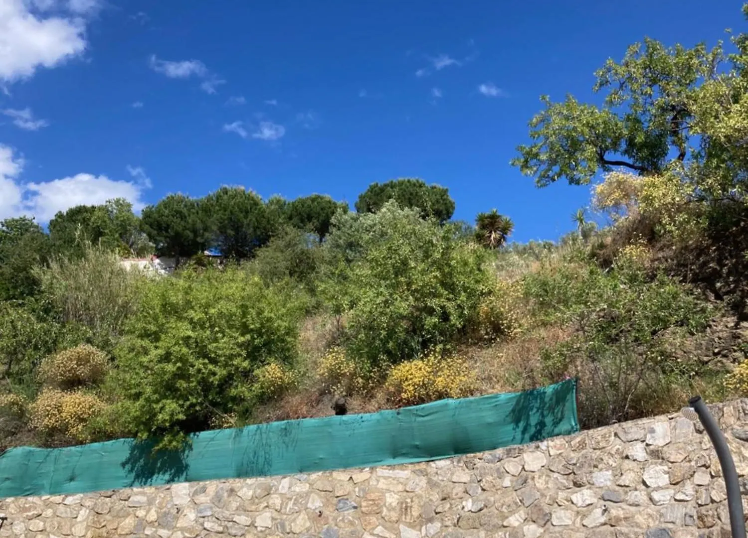 Holiday home Casa Los Almendros Canillas de Albaida